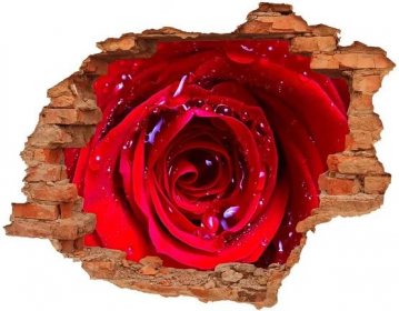 Wallmuralia Samolepící nálepka na zeď Květ růží 90x70 cm