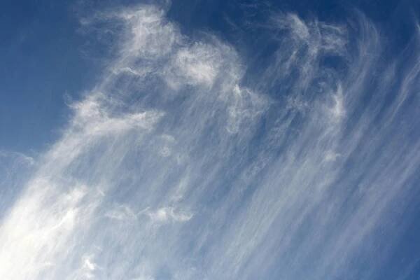 Základová fotografie na téma atmosféra, atmosférický, bílá, cirrus, den, éterický, horizont, jasný, klid, klidný, kumulus