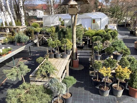 Fotografie - 12.03.2023