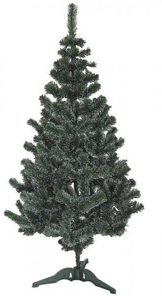 Stromek borovice bílé koncovky.220 cm.