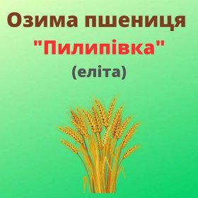 Пшениця "Пилипівка" Рост-Агро (Еліта)