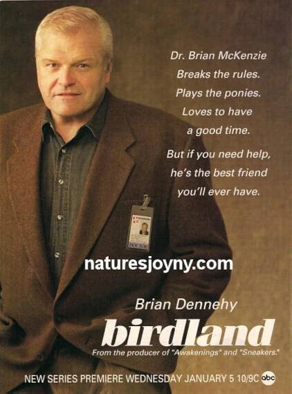 Birdland (TV Series 1994) 6.7