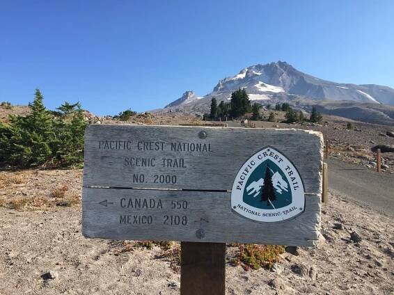PCT day 123 – Timberline