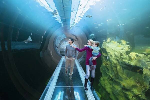 Haus des Meeres: THE OCEAN UP-CLOSE... RIGHT IN VIENNA