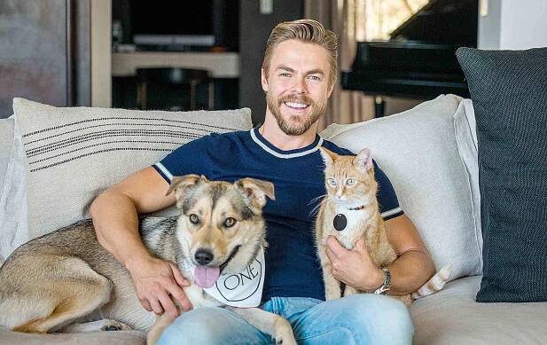 Derek Hough Reveals His Dog's Celebrity Twin and Why His Four Pets Are 'the Loves' of His Life