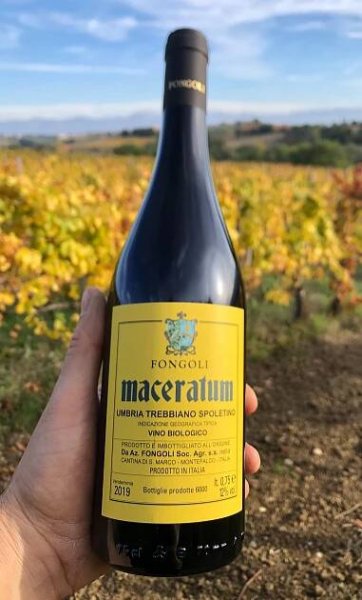 Maceratum - Cantina Fongoli