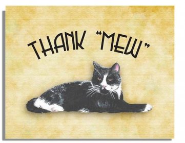 thank-you-cat-Kevin