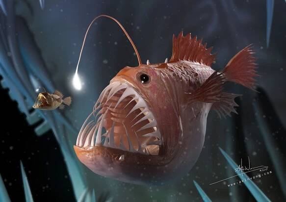 3D Angler Fish by Akin Vong | Deep sea creatures, Sea fish, Sea creatures
