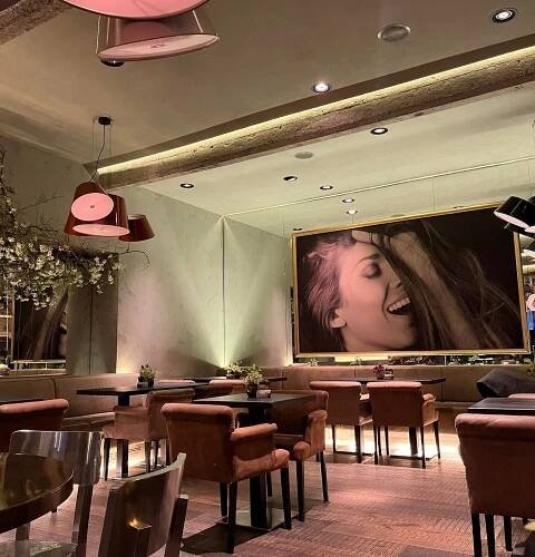 CAFE NEW ONE, Olomouc - Restaurant Reviews, Photos & Phone Number - Tripadvisor