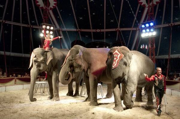 Cirkus HUMBERTO po dvou letech v Praze na Proseku