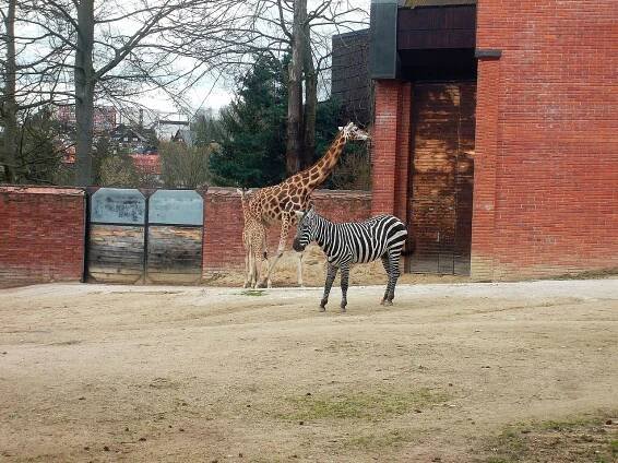 Zoo Liberec řeší, jak snížit spotřebu vody. Vodní plán jí pomohla navrhnout Technická univerzita - Ekolist.cz