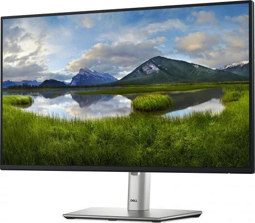 DELL Professional P2425HE se stojanem