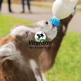 Digital Strategy Leads To Growth For Leading National Animal Nutritional Products | April Ford | Digital Marketing Agency