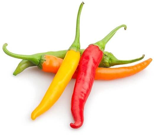 Čerstvé chilli papričky — Stock obrázek