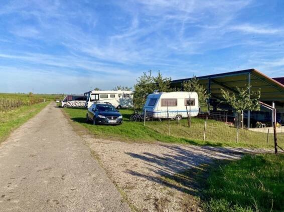 Camping & Wohnmobilstellplatz Edenkoben | AlpacaCamping