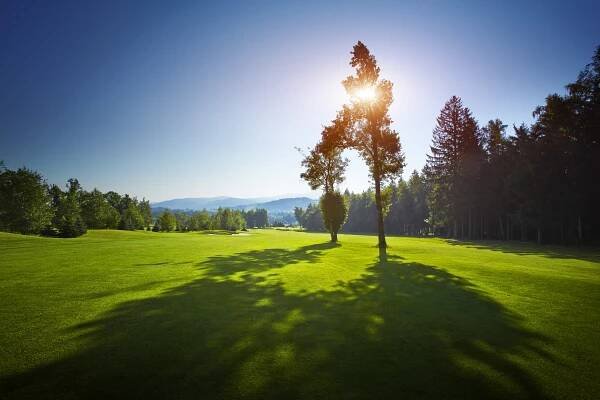 Prosper Golf Series 2024 | Prosper Golf Resort