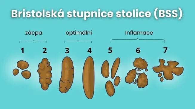 Zdravé střeva: Jak by mělo vypadat normální vyprazdňování a kdy zbystřit? - Biome4Future