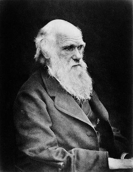 Soubor:Portrait of Charles Darwin Wellcome M0005668.jpg