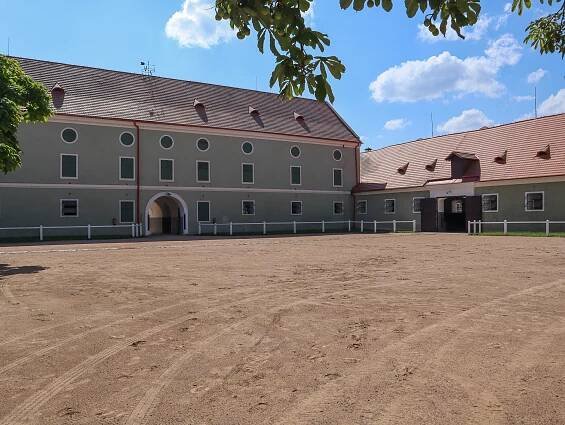 Za krásou ušlechtilých koní do Kladrub nad Labem | PrimaVylety.cz