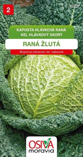 Kapusta hlávková - Raná žlutá