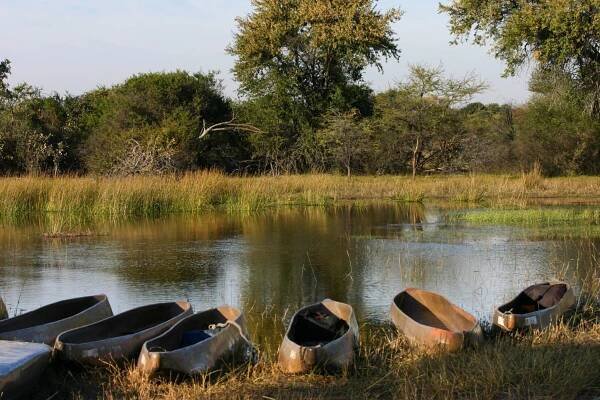 Mokoros lined up along the water’s edge ready for an Okavango Delta Safari.