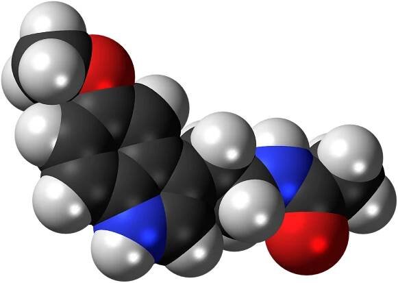 Meileatoinin