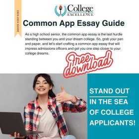 common app essay guide post