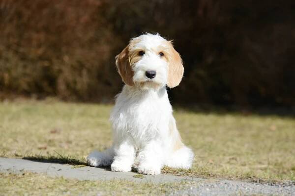 arwen3