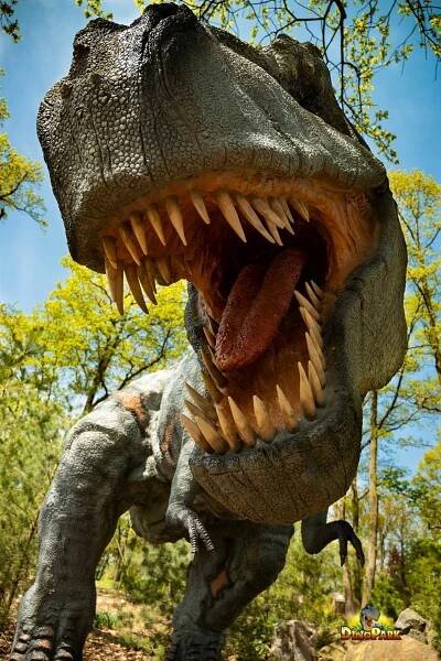 Dinopark Vyškov - Vyškov, Jižní Morava