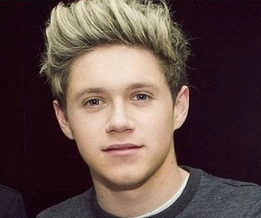 Niall Horan Biography - Facts, Childhood, Family Life & Achievements