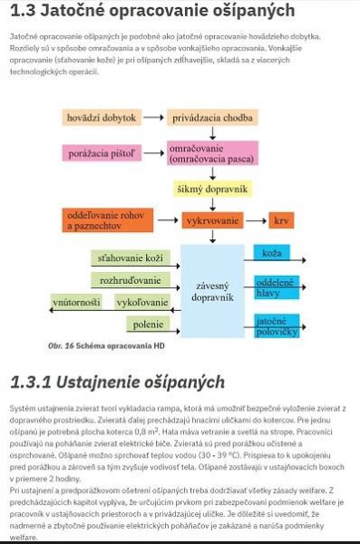 DIGI TECHNOLÓGIA 2 MÄSIAR – Raabe Digital