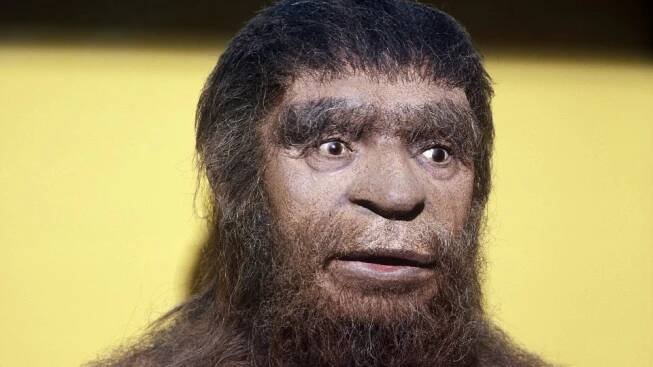 Moderní člověk, nebo neandertálec? Vědci řeší záhadného rybáře z pravěku | Plus