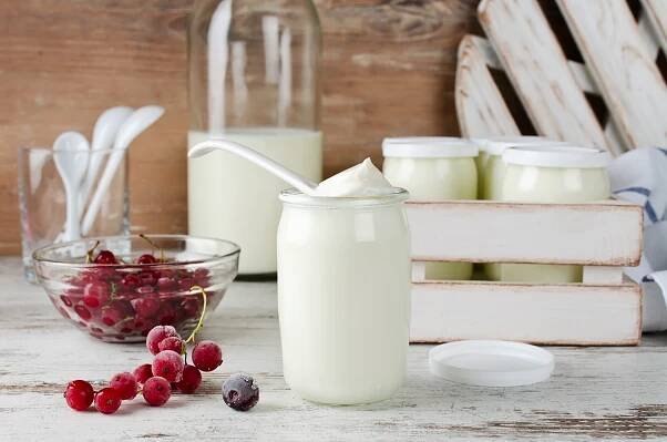Domáci skyr je fantastickým zdrojom bielkovín s minimom tuku