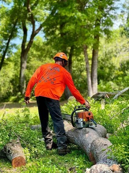A man is cutting a log with a chainsaw in the woods.
