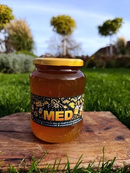 medzvicova