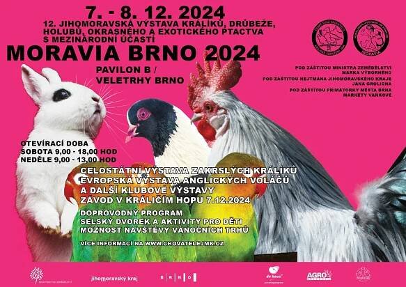 MORAVIA BRNO 2024