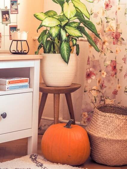 Podzimní dekorace a ladění | Interiérová inspirace · Lifestyle Birdie