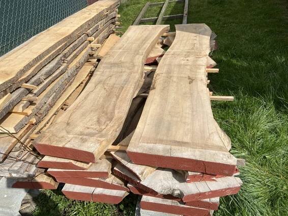 Prodám vysušené ořechové fošny k výrobě stolu. Délka 2,3 m, šířka od 48 do 55 cm. Tloušťka 8 cm. Převyšuje jádrové dřevo. Nutné vidět. Mám jen 8 kusů. - InzerceTrinec.cz