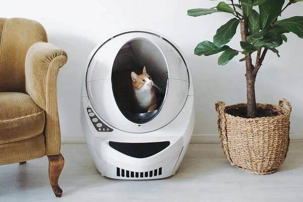 30-facts-about-litter-robot