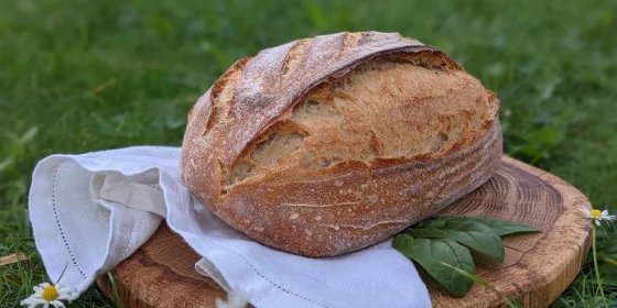 Online kurz pečení kváskového chleba
