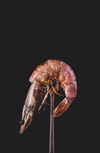 04152021_HEAD ON PRAWNS-5123-tw-sm