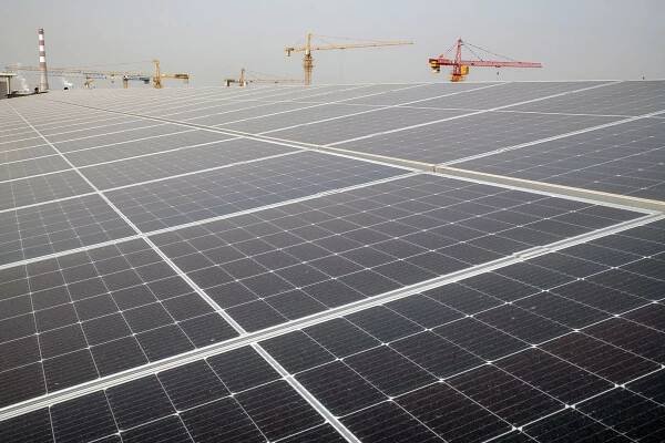 Top Solar Firm Warns Excess Capacity Risks Wave of Failures
