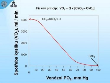 Fickův princip: VO2 = Q x [CaO2 – CvO2] DO2=CaO2 x Q Spotřeba kyslíku (VO2), ml / min. Spotřeba kyslíku (VO2) při různých hodnotách venózního PO2 v ustáleném stavu podle Fickova principu. Maximální možná spotřeba kyslíku je teoreticky možná jen v případě, kdy je spotřebována veškerá dodávka kyslíku do tkání (DO2 = VO2). Při nulové spotřebě kyslíku (otrava kyanidy) by se venózní koncentrace kyslíku rovnala arteriální CaO Venózní PO2, mm Hg.