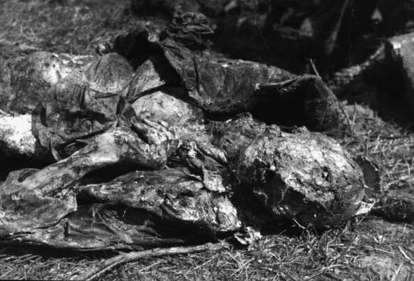 Ústavní soud smetl stížnost komunisty Skály. O pravdě se nepolemizuje, vzkázal ke zpochybnění masakru v Katyni