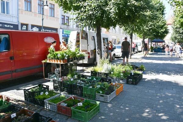 FOTO: Tradiční farmářské trhy v Lounech nabídly pečivo, sýry, ovoce i zeleninu