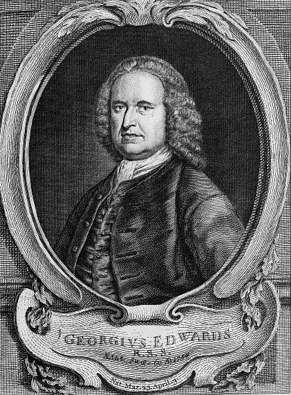 George Edwards (Naturforscher)