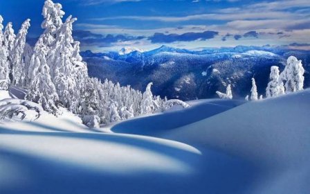 snow covered trees and mountains under a blue sky