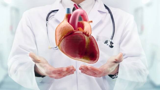 Ovlivnit tlukot srdce? Naše regulační soustava je nad vším, co můžeme ovlivnit, přibližuje kardiolog | Radiožurnál