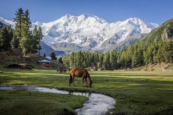 Pakistan Immersive Cultural and Adventure Tours — The Wander Adventures