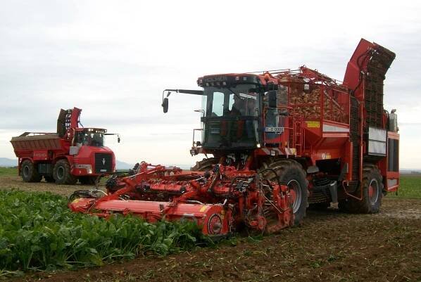 Sugar beet harvester